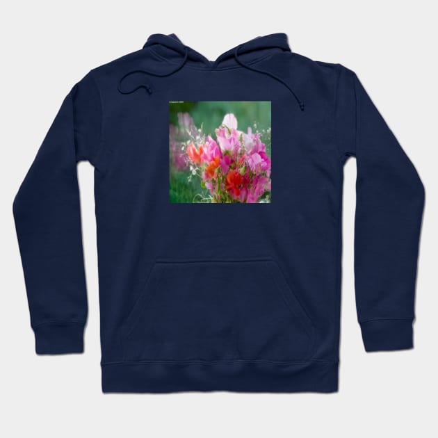 Sweet peas are truly sweet Hoodie by Designs and Dreams